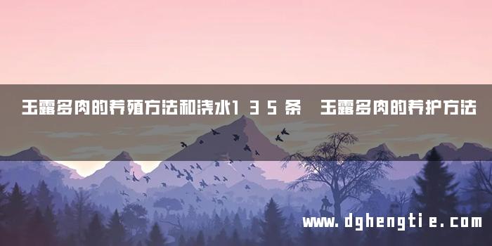 玉露多肉的养殖方法和浇水135条 玉露多肉的养护方法
